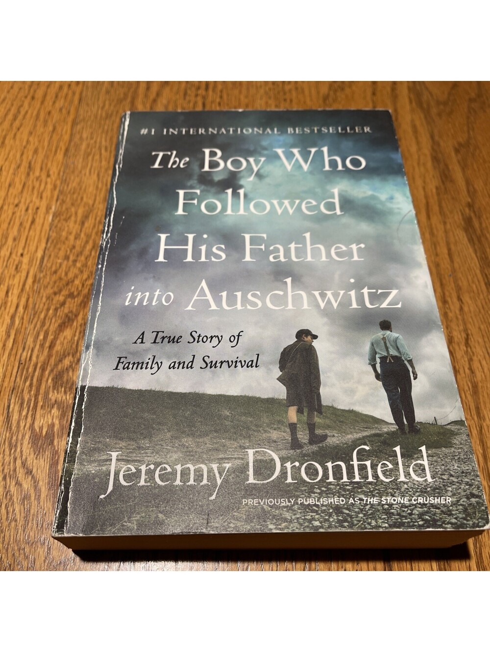 The Boy Who Followed His Father Into Auschwitz: A True Story of Family and...